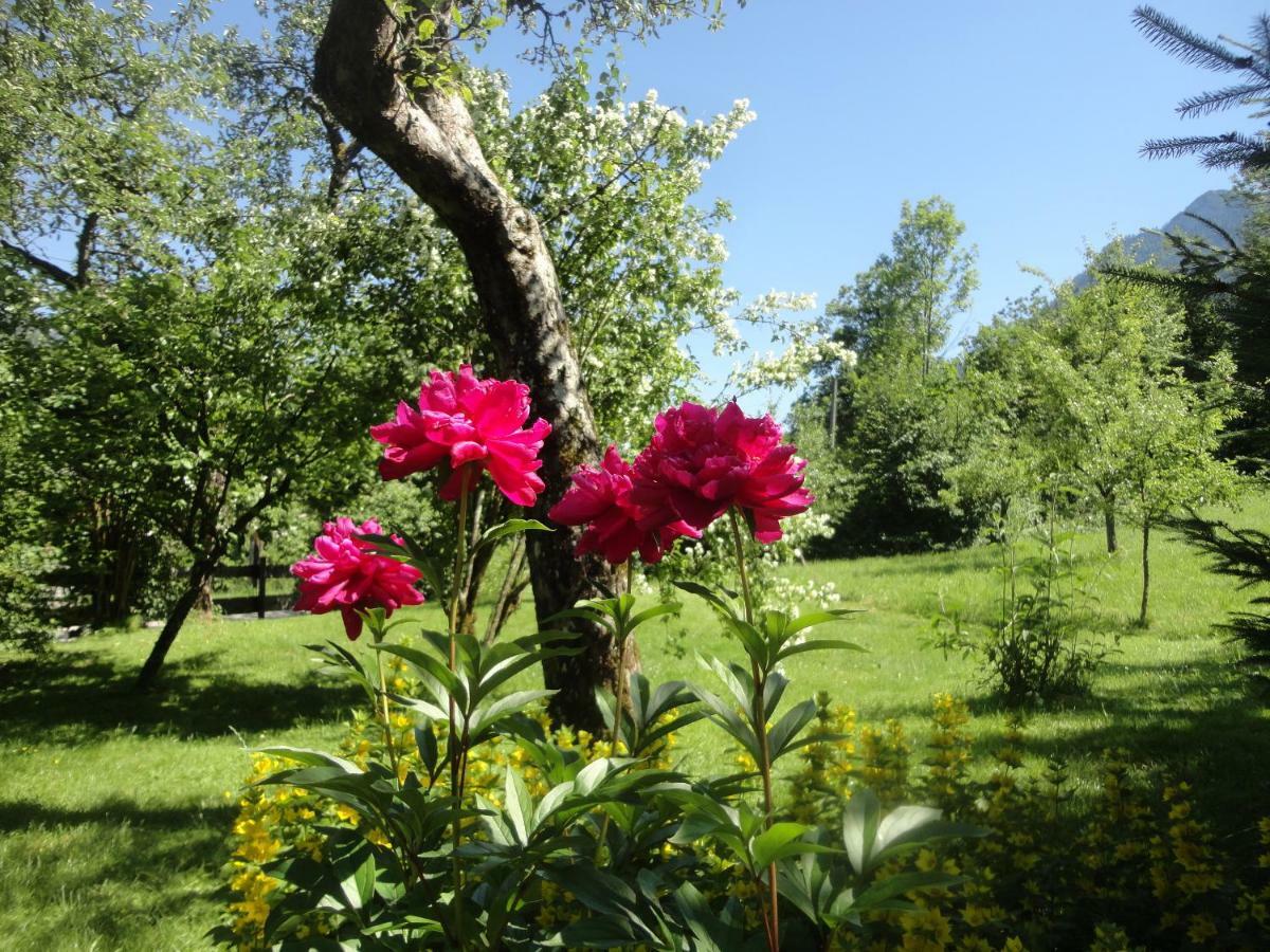 Holiday home Ramsau 8